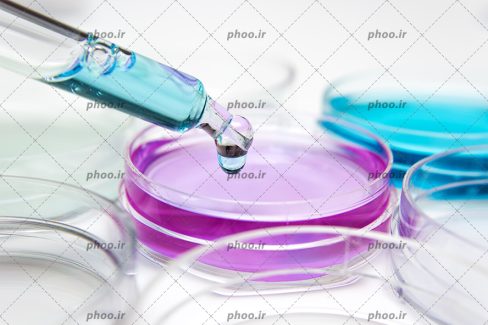 عکس با کیفیت شیشه های گرد پر شده با مایع هایی به رنگ بنفش و آبی و برداشتن مایع با قطره چکان