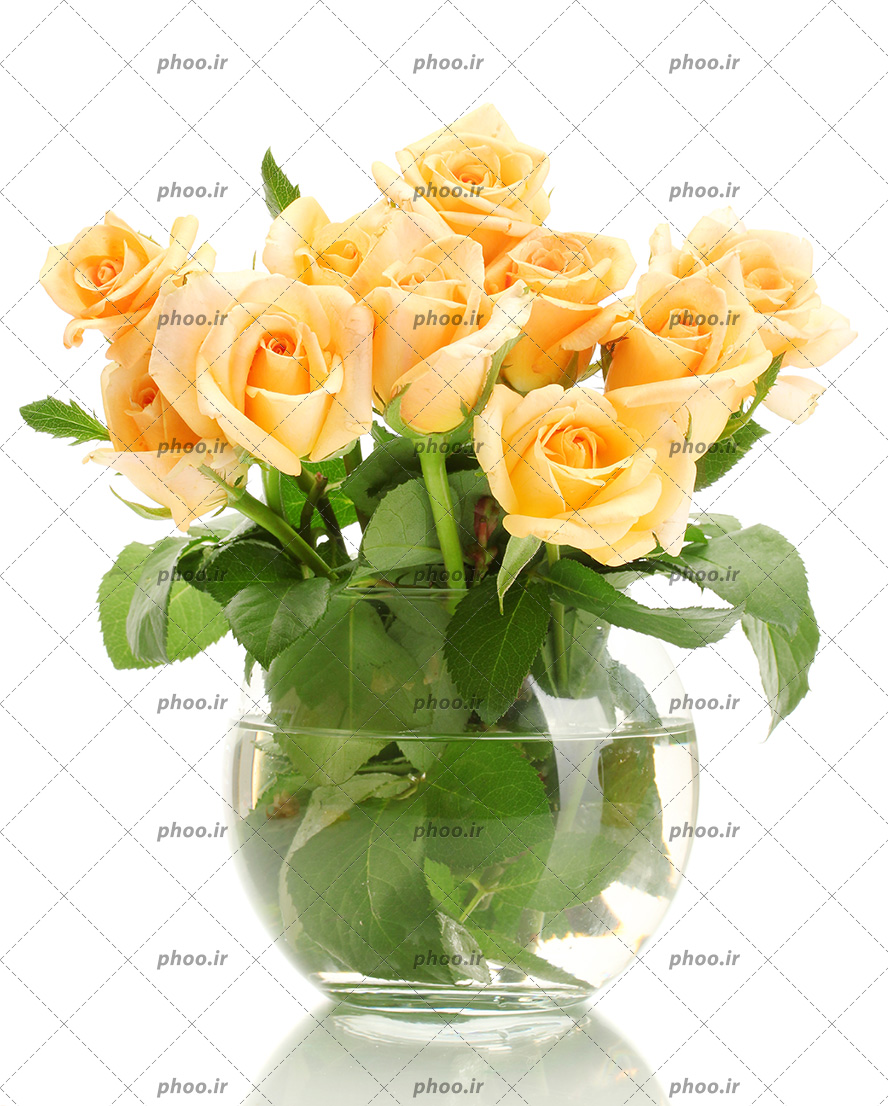 عکس با کیفیت گل های رز نارنجی داخل گلدان شیشه ای زیبا