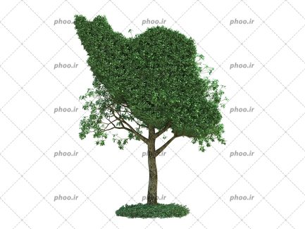 عکس با کیفیت درخت سرسبز به شکل نقشه ی کشور ایران در پس زمینه سفید