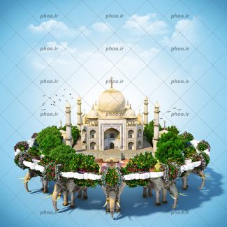 عکس با کیفیت فیل های تزئین شده با گل های زیبا و در حال حمل معبد بزرگ