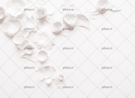 عکس با کیفیت گل های برجسته از جنس کاغذ مناسب برای دیوارپوش ها و والپیپر