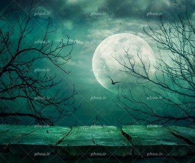 عکس با کیفیت نیمکت چوبی در جنگل خوف ناک و ماه کامل در آسمان شب و شاخه های خشک درخت در گوشه تصویر