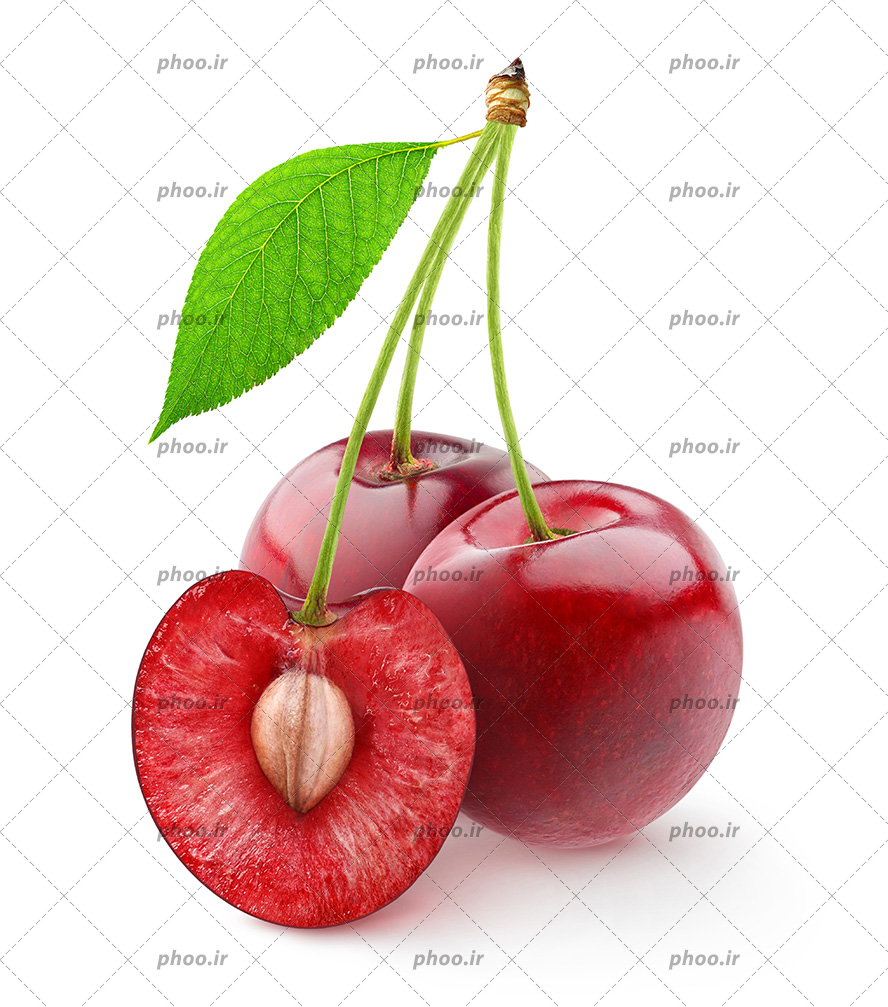 عکس با کیفیت گیلاس نصف شده در کنار دو گیلاس دیگر همراه با برگ در پس زمینه سفید