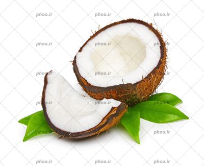 عکس با کیفیت نارگیل تازه و خوشمزه نصف شده و چند برگ در کنارش