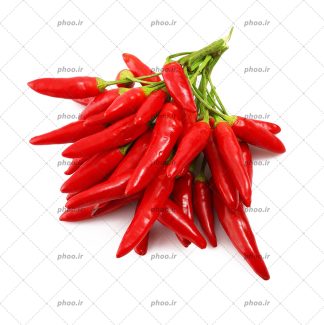 عکس با کیفیت یک دسته فلفل قرمز تند و تازه در پس زمینه سفید