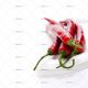 عکس با کیفیت دانه های قهوه داخل فنجان سفید و فنجان غرق در دانه های قهوه تازه