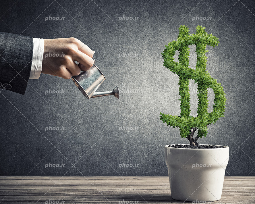 عکس با کیفیت مرد با کت و شلوار در حال آب دادن با آبپاش به گیاه شبیه به دلار در گلدان