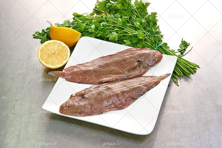 عکس با کیفیت ماهی نصف شده خام در ظرف سفید در کنار لیمو ترش نصف شده و یک دسته سبزی جعفری