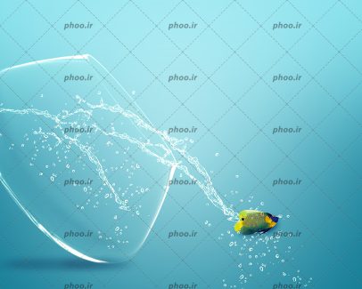 عکس زیبا ماهی کوچیک زرد رنگ از تنگ ماهی افتاده بر زمین