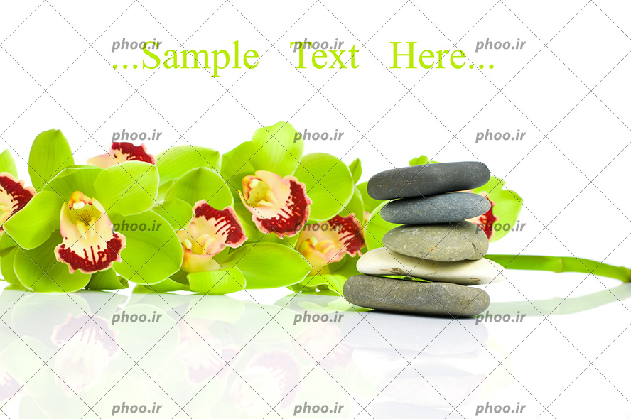 عکس سنگ ها و گل ها برای ماساژ