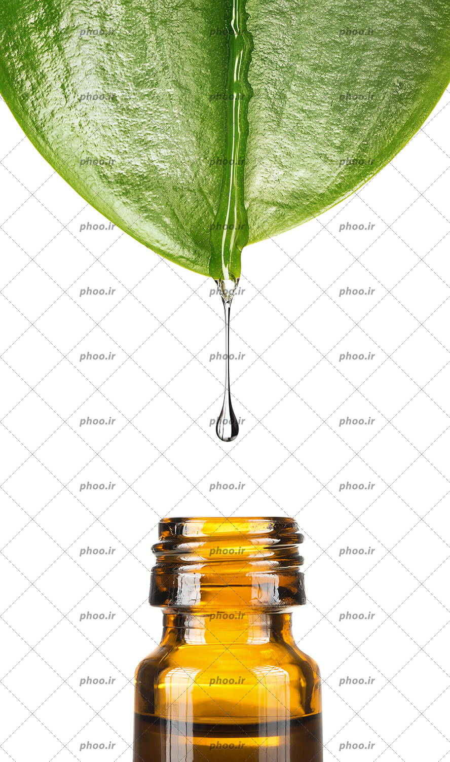 عکس روغن درحال چکیدن از روی برگ داخل بطری