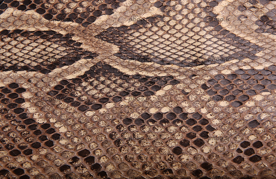 عکس پارچه یا چرم طرح دار و شکل مار