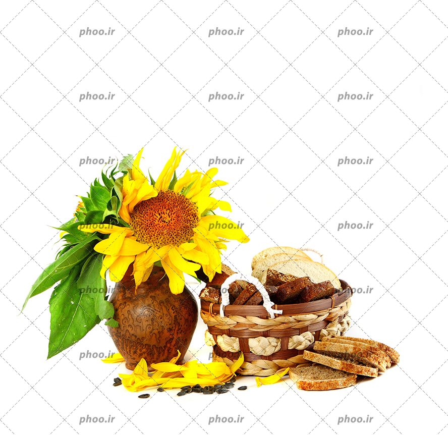 عکس نان تست بریده شده در سبد و گلدان در زمینه سفید