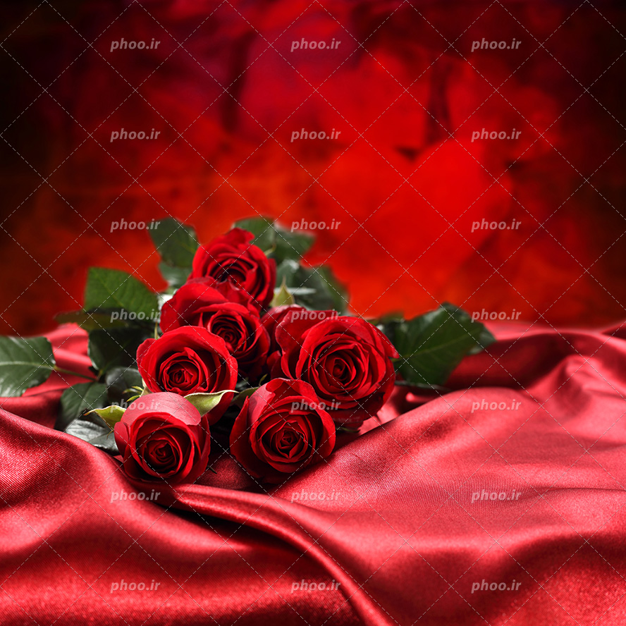 عکس با کیفیت دسته گل رز قرمز بر روی پارچه قرمز از جنس ساتن و پس زمینه به رنگ قرمز و پر شده از قلب قرمز