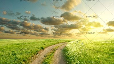 عکس با کیفیت جاده خاکی در میان دشت سبز در یک روز تابستانی