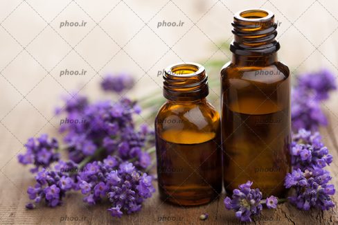 عکس روغن اسطوخودوس در یک بطری شیشه ای روی زمینه ای از گل های تازه نمای نزدیک