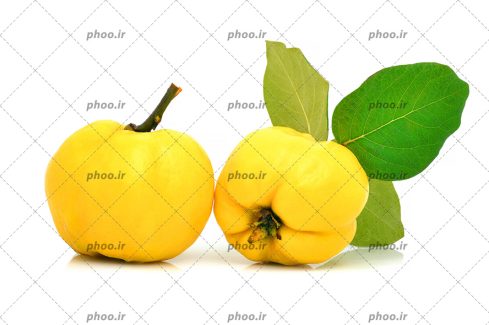 عکس میوه به با برگ سبز در پس زمینه سفید