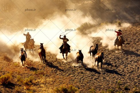 عکس حیوان اسب درحال دویدن و گاوچران ها بدنبال آنها در طبیعت زیبا بیابان