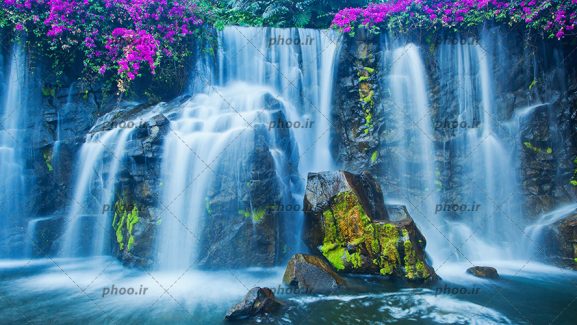 عکس طبیعت زیبا آبشار با صخره سنگ های پر از خزه و گل های صورتی
