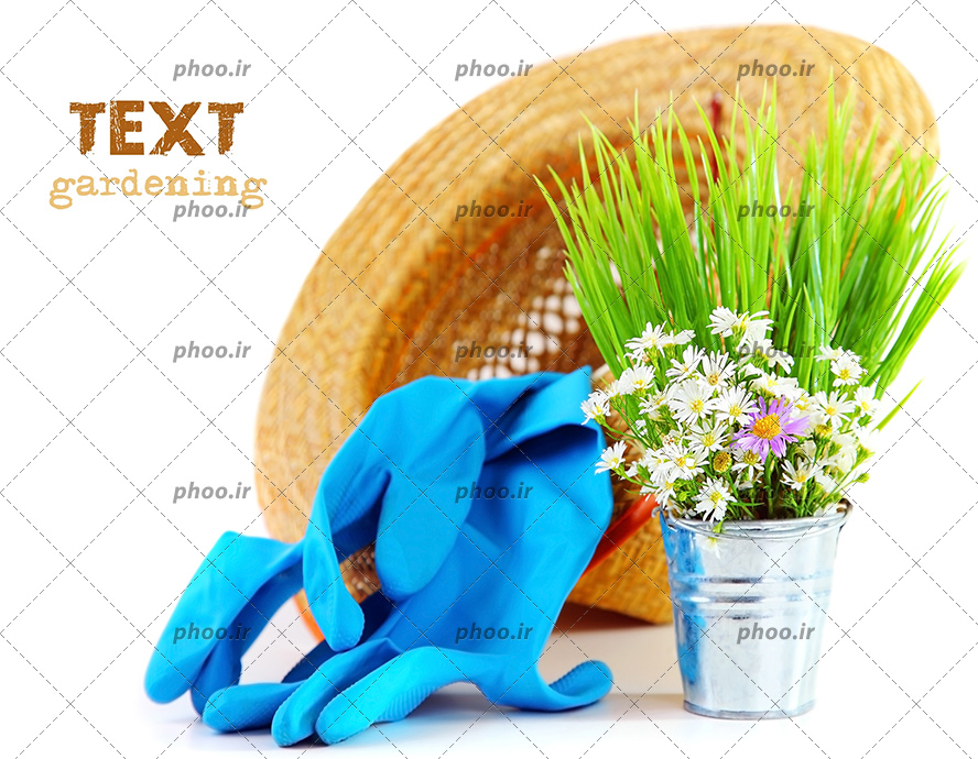 عکس یک سطل کوچک از گل و گیاه ، دستکش و کلاه در پس زمینه سفید و نوشتن متن در قسمت خالی