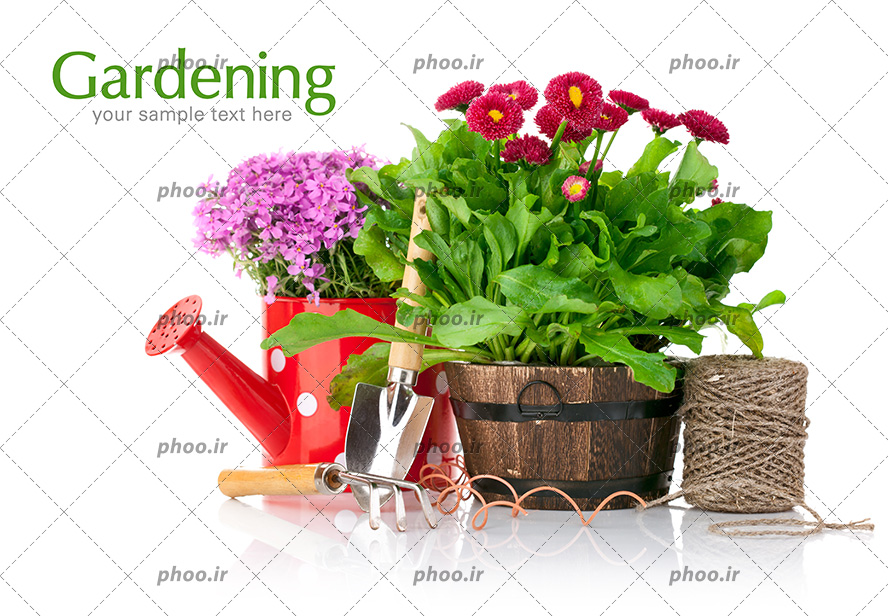 عکس گل های بهاری با ابزار باغبانی بر روی زمینه سفید