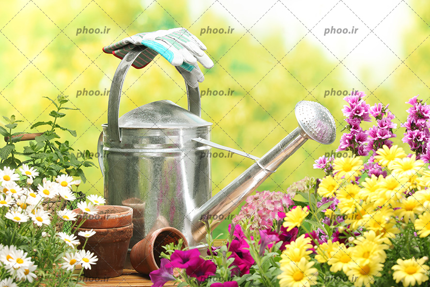عکس ابزار باغبانی در کنار گل های رنگا رنگ زیبا در فضای باز