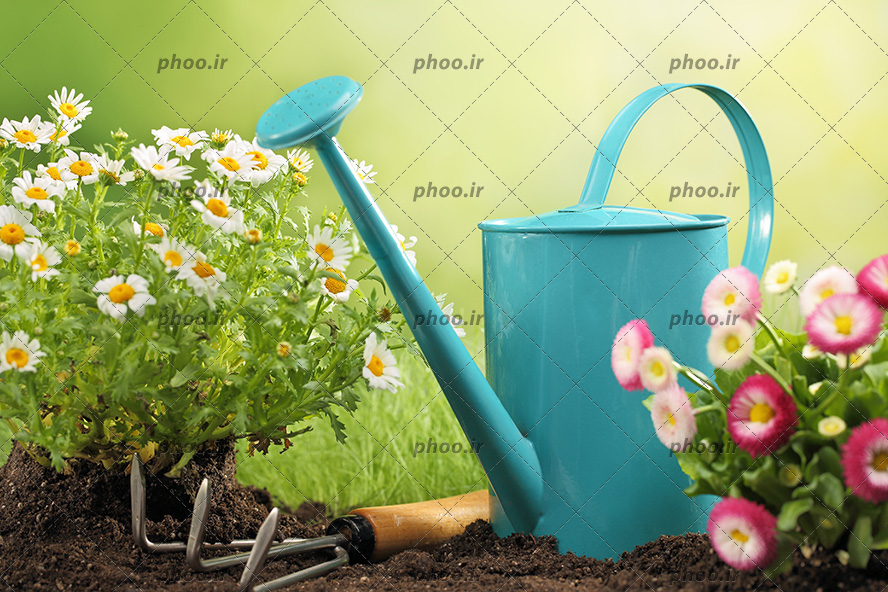 عکس گل های کاشته شده در خاک و ابزار باغبانی در پس زمینه باغ