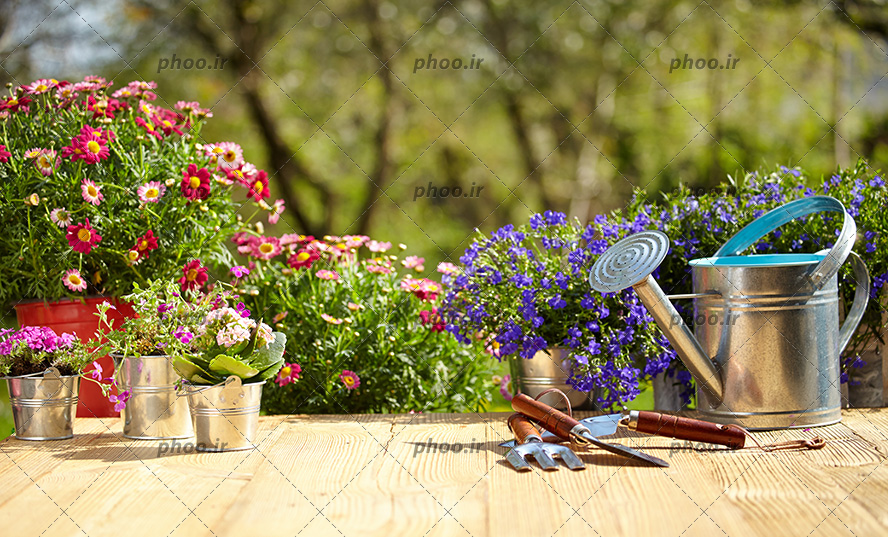 عکس ابزار باغبانی و گلدان هایی با گل های متفاوت در پس زمینه باغ