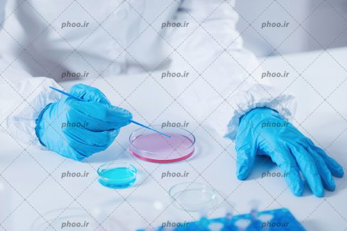 عکس با کیفیت دکتر در حال انجام آزمایش در ظرف های شیشه ای روی میز