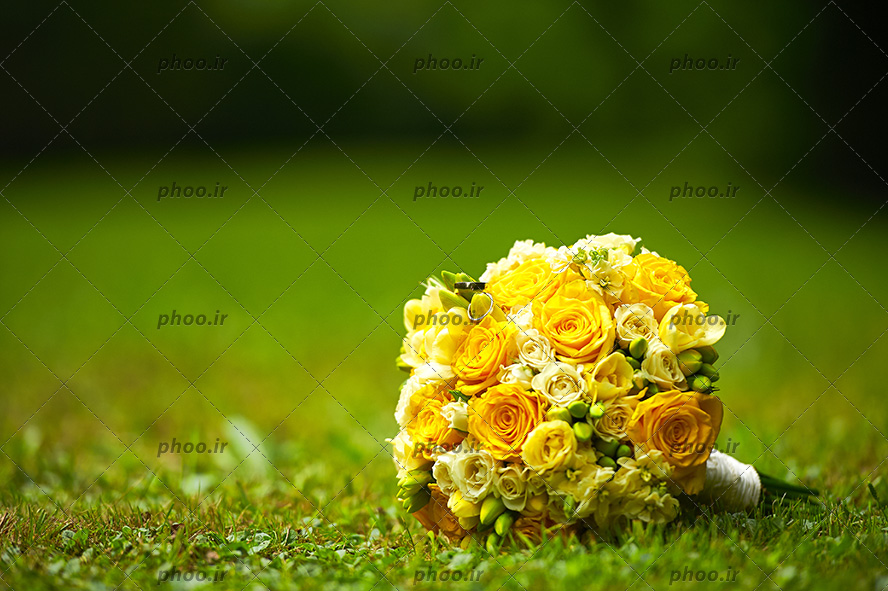 عکس یک دسته گل زیبا از گل های زرد و سفید که روی چمن های سبز افتاده است