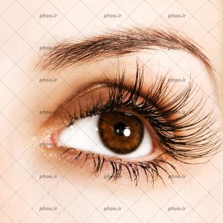 عکس چشم قهوه ای با مژه های بلند از نزدیک