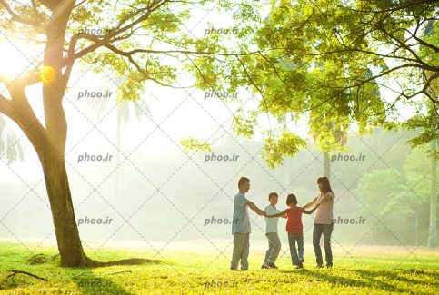 عکس با کیفیت یک خانواده چهار نفره در حال بازی در طبیعت سبز و روز آفتابی