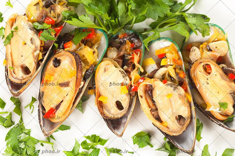 عکس غذای دریایی صدف و سبزیجات در پس زمینه سفید