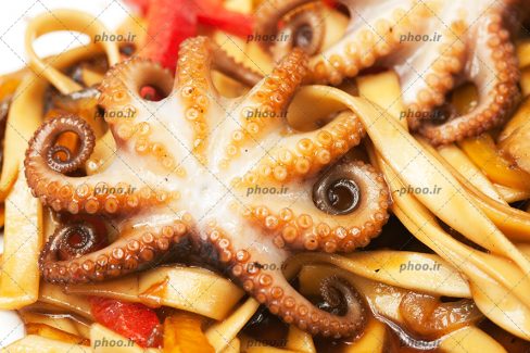 عکس غذای دریایی رشته فرنگی با هشت پا و سس از نمای نزدیک