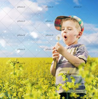 عکس با کیفیت پسر بچه ایستاده در گلزار در حال فوت کردن گل قاصدک