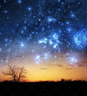 عکس یک درخت تنها با پس زمینه فضای زیبا
