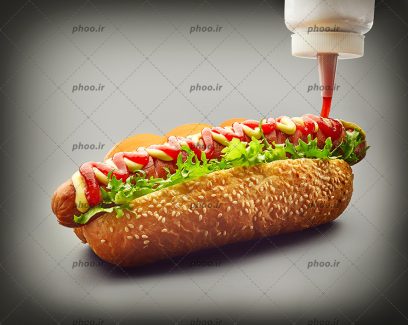 عکس ساندویچ خوشمزه هات داگ خوشمزه با سس و سبزی