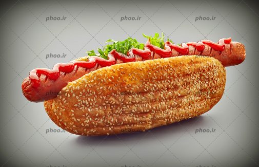 عکس ساندویچ خوشمزه هات داگ خوشمزه با سس و سبزی