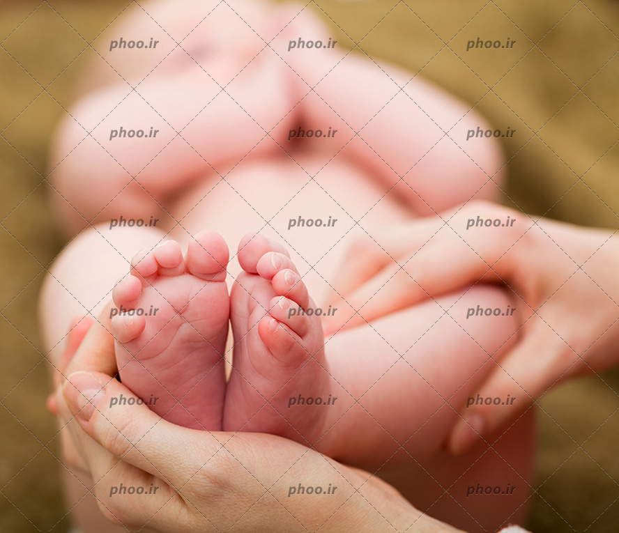 عکس پاهای نوزاد در دستان مادر با زمینه محو