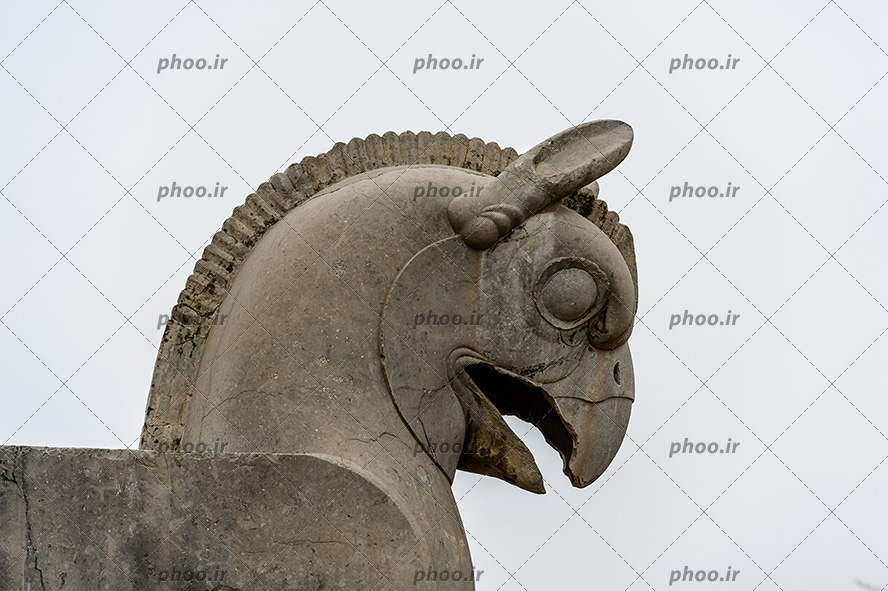 عکس مجسمه گریفین یا (شیردال) سنگی یکی از مجسمه های قدیمی در تخت جمشید