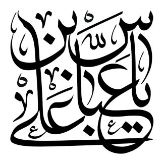 عکس با کیفیت یا علی بن عباس (ع) در پس زمینه سفید