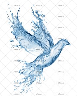 عکس آب به شکل پرنده در حال پرواز در پس زمینه سفید