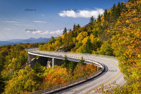 عکس با کیفیت جاده پیچ در پیچ در میان درخت هایی با برگ های پاییزی