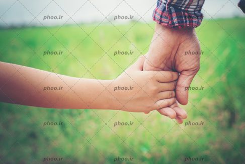 عکس کودک دست پدر خود را گرفته در طبیعت