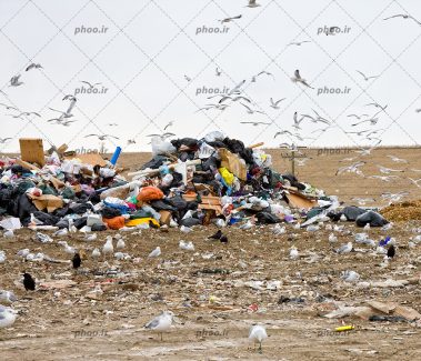 عکس زباله های انبار شده و پرندگان در حال پرواز در اطراف آن ها