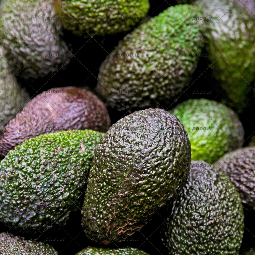 عکس میوه آووکادو از نمای نزدیک