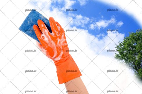 عکس با کیفیت تمیز کردن شیشه با اسفنج با منظره ای رو به آسمان آبی و درختی سبز