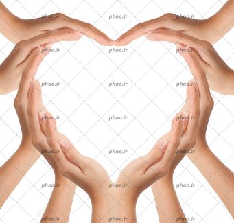 عکس با کیفیت دست هایی که در کنار هم قرار گرفتند به شکل یک قلب