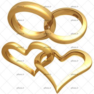 عکس با کیفیت حلقه های ازدواج طلایی