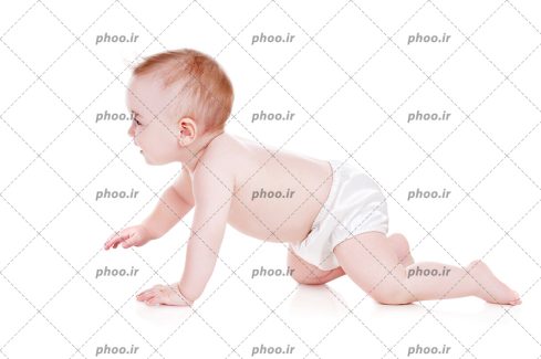 عکس با کیفیت چهار دست و پا رفتن کودک در پس زمینه سفید